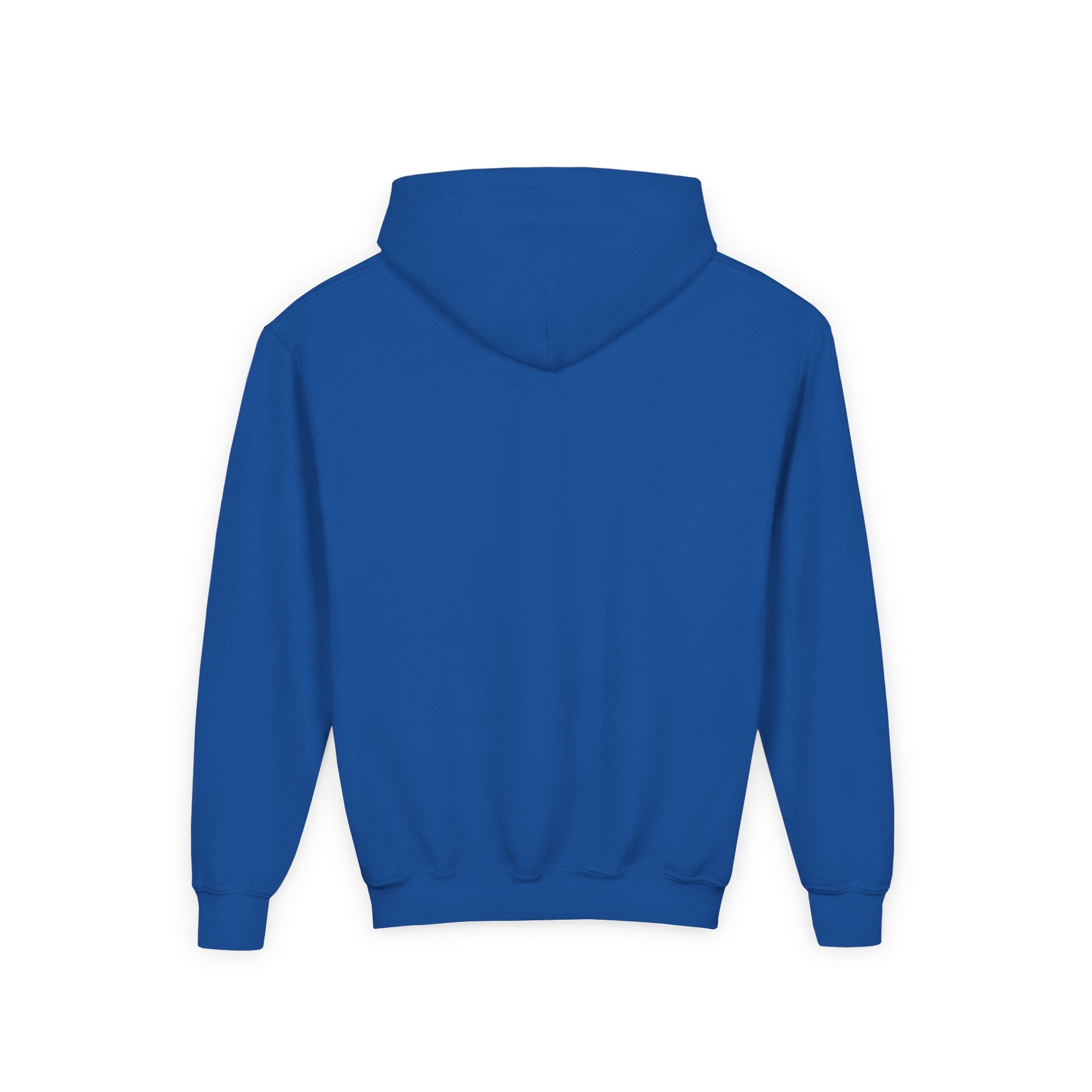 Youth Hoodie